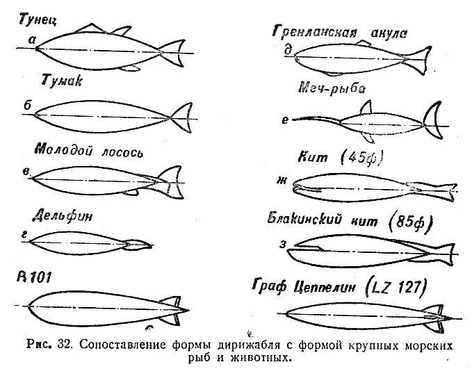 Рис 32 Сопоставление формы дирижабля с формой крупных морских рыб и животных - фото 31