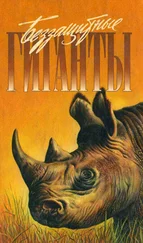 Дейв Кэрри - Спасти слона!