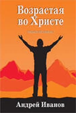 Андрей Иванов Возрастая во Христе обложка книги