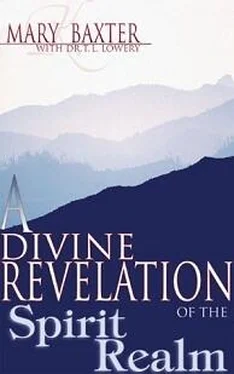 Мэри Бакстер Божественное откровение о Небесах обложка книги