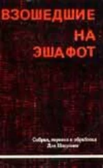 Иосиф Недава - Взошедшие на эшафот. Очерк жизни, борьбы и смерти двенадцати взошедших на эшафот борцов подполья «Эцель» и «Лехи»