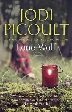 Jodi Picoult Lone Wolf обложка книги