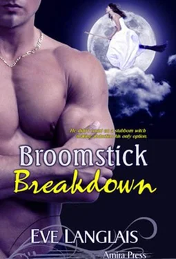 Eve Langlais Broomstick Breakdown обложка книги