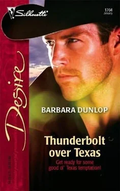 Barbara Dunlop Thunderbolt over Texas