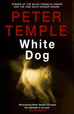 Peter Temple White Dog обложка книги