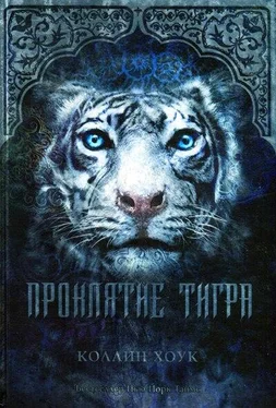 Коллин Хоук Проклятие тигра обложка книги