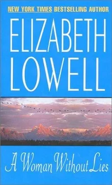 Elizabeth Lowell A Woman Without Lies обложка книги