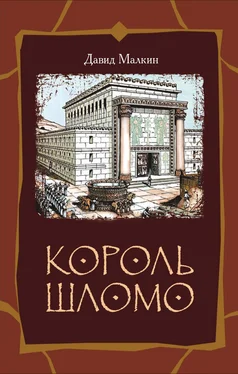 Давид Малкин Король Шломо обложка книги