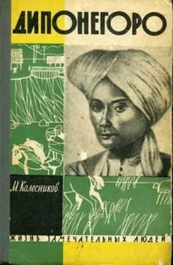 Михаил Колесников Дипонегоро обложка книги