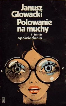 Janusz Głowacki Polowanie na muchy i inne opowiadania обложка книги