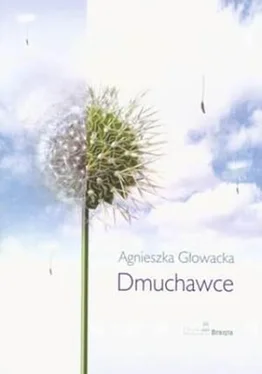 Agnieszka Głowacka Dmuchawce обложка книги