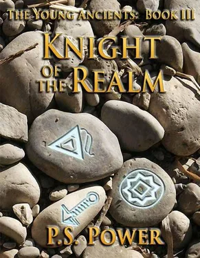 P. Power Knight of the Realm обложка книги