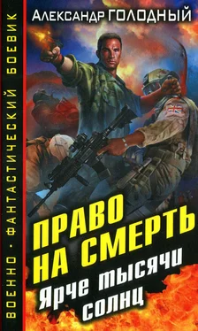 Александр Голодный Ярче тысячи солнц обложка книги