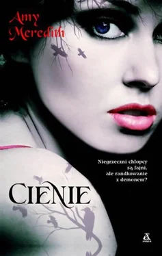 Meredith Amy Cienie обложка книги