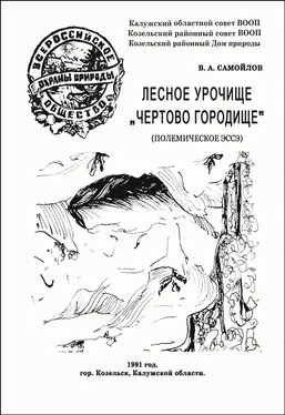 Василий Самойлов ЛЕСНОЕ УРОЧИЩЕ «ЧЕРТОВО ГОРОДИЩЕ» обложка книги