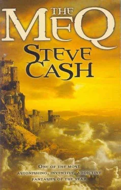 Steve Cash The Meq обложка книги