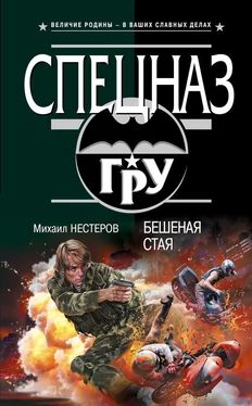 Михаил Нестеров Бешеная стая обложка книги