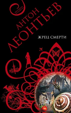 Антон Леонтьев Жрец смерти обложка книги