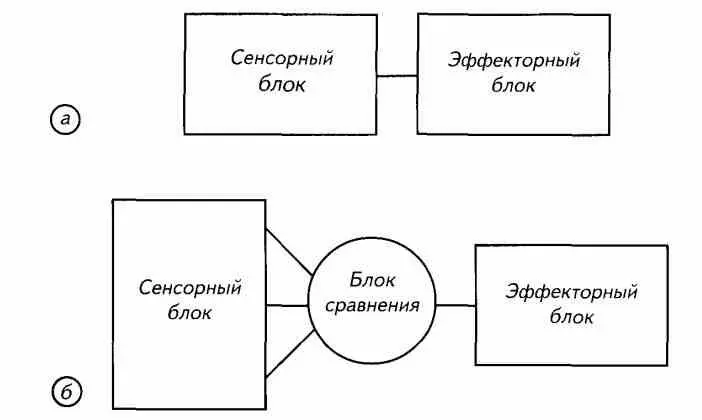 а идеализированная схема подразумевает разделение только сенсорных и - фото 5