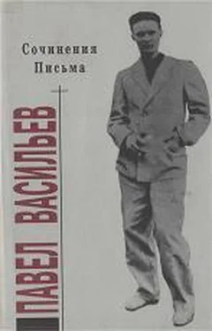 Павел Васильев Сочинения. Письма обложка книги