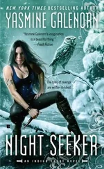 Yasmine Galenorn - Night Seeker