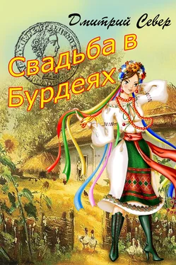 Дмитрий Север Свадьба в Бурдеях обложка книги