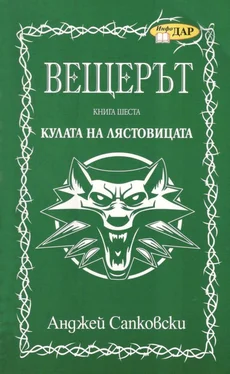 Анджей Сапковски Кулата на лястовицата обложка книги