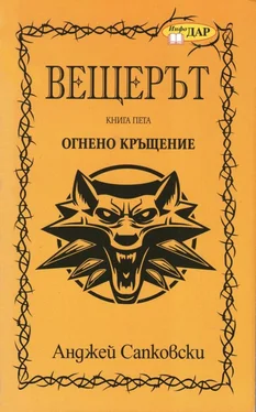 Анджей Сапковски Огнено кръщение обложка книги