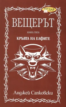 Анджей Сапковски Кръвта на елфите обложка книги