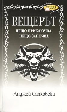 Анджей Сапковски Нещо приключва, нещо започва обложка книги