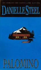 Danielle Steel - Palomino