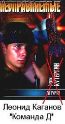 Леонид Каганов - Команда Д