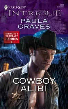 Paula Graves Cowboy Alibi обложка книги