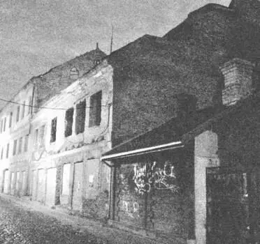 Все было хорошо пока Янина шла через двор белый от вишневого цвета - фото 33