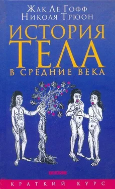 Николя Трюон История тела в средние века обложка книги