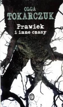 Olga Tokarczuk Prawiek I Inne Czasy обложка книги