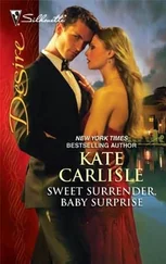 Kate Carlisle - Sweet Surrender, Baby Surprise