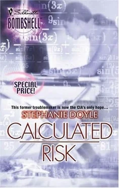 Stephanie Doyle Calculated Risk обложка книги