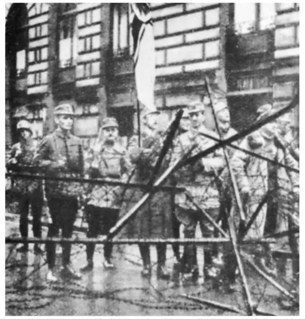 Himmler as a standardbearer at the barricades the November putsch in Munich - фото 7