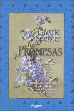 LaVyrle Spencer Promesas обложка книги