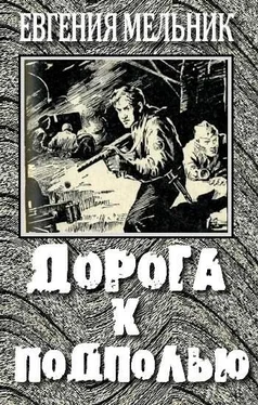 Евгения Мельник Дорога к подполью обложка книги