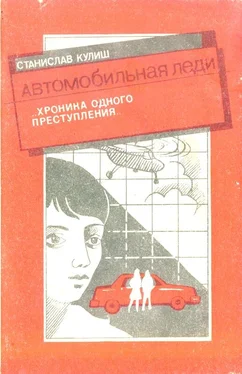 Станислав Кулиш Автомобильная леди (хроника одного преступления) обложка книги