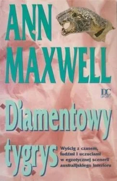 Ann Maxwell Diamentowy tygrys обложка книги