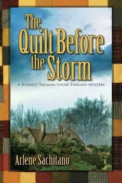 Arlene Sachitano The Quilt Before The Storm