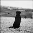 John Yossarian changed his profile picture So cute Researcher 101 Whats - фото 13