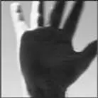 John Yossarian changed his profile picture Its my 20th anniversary tomorrow - фото 15