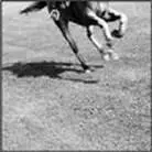 John Yossarian changed his profile picture John Yossarian added Relationship - фото 8