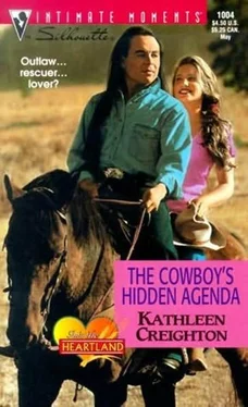 Kathleen Creighton The Cowboy’s Hidden Agenda обложка книги