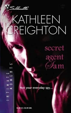 Kathleen Creighton Secret Agent Sam обложка книги