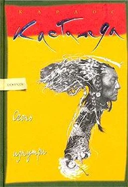 Карлос Кастанеда Огонь изнутри обложка книги